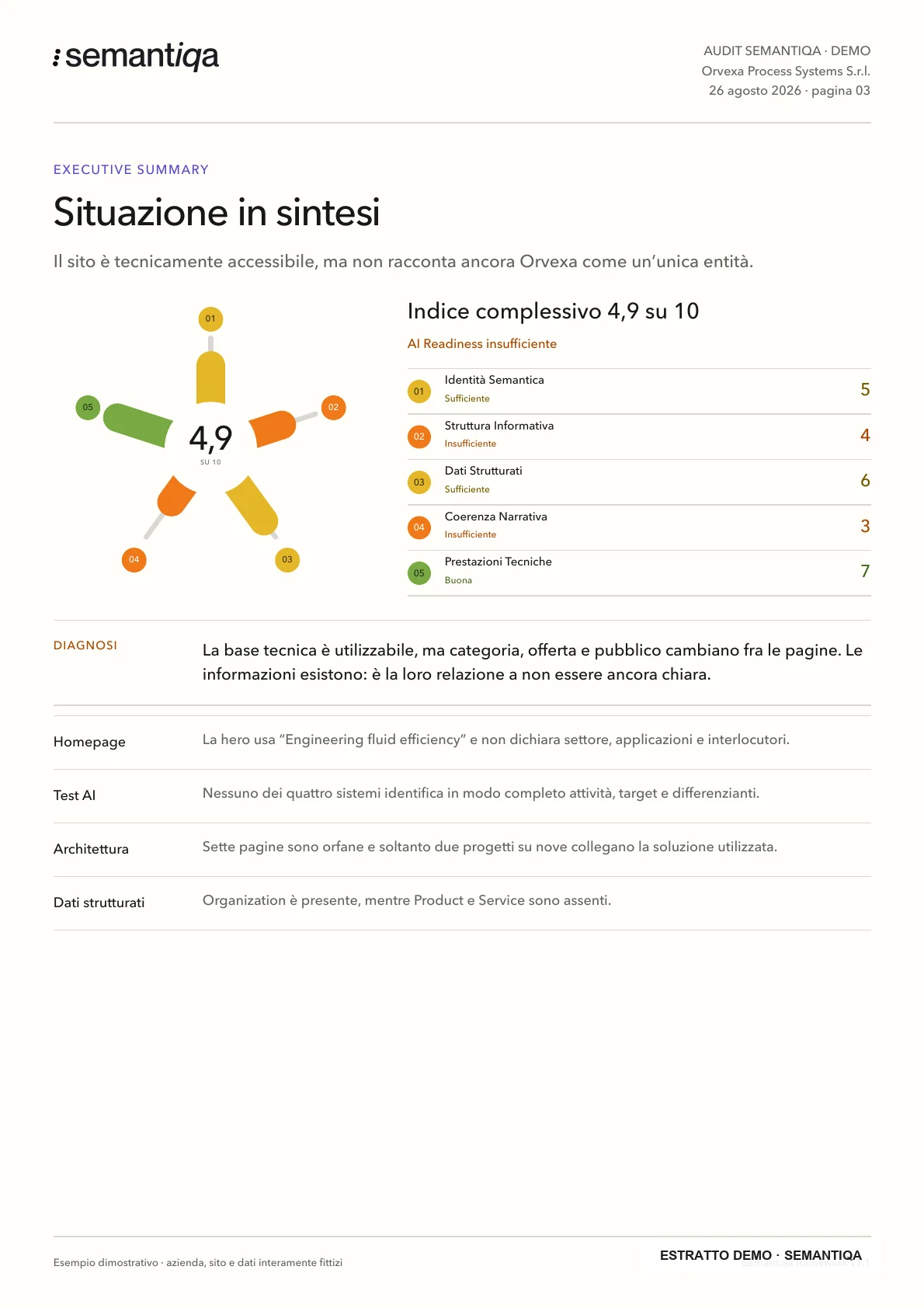 Executive summary della demo con indice e sintesi della diagnosi