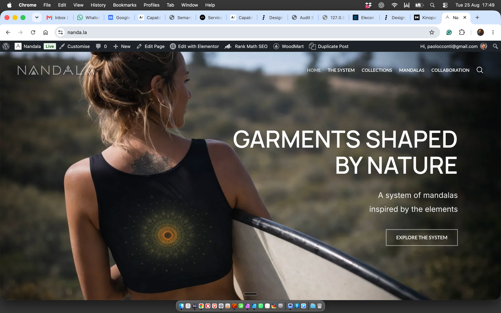 Homepage del sito Nandala